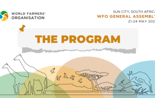 WFO GA 2023 PROGRAM DEEP DIVE