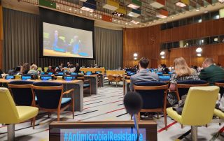 Building Effective Governance for AMR: WFO at the UN Multi-stakeholder Hearing