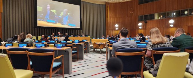 Building Effective Governance for AMR: WFO at the UN Multi-stakeholder Hearing