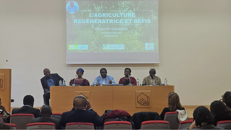 Toussaint N'Guessan fromRéseau Ivoirien pour l'Agriculture Durable (RIAD) at the 2nd Roundtable of African Farmers