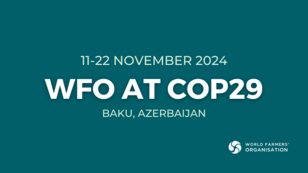 2024 United Nations Climate Change Conference (UNFCCC COP 29) - WFO-OMA