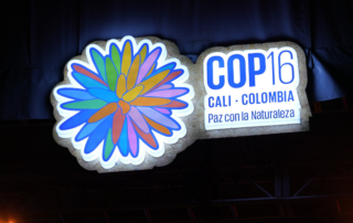 WFO at CBD COP 16 Biodiversity