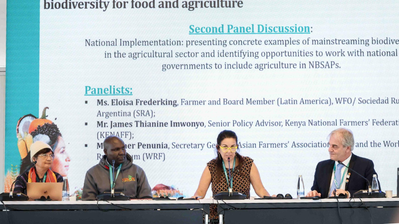 Eloisa Frederking, WFO Board Member, and James Thiaine (KENAFF) at WFO's COP 16 side event