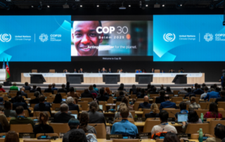 The implications of COP29 and key opportunities for world farmers ahead of COP30.