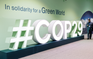 WFO at COP 29